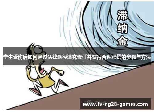 学生受伤后如何通过法律途径追究责任并获得合理赔偿的步骤与方法