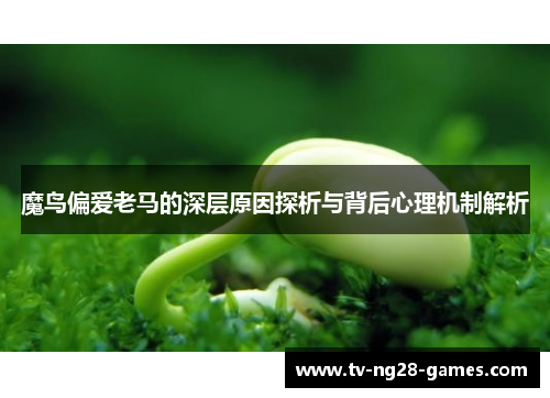 魔鸟偏爱老马的深层原因探析与背后心理机制解析