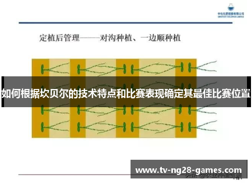 如何根据坎贝尔的技术特点和比赛表现确定其最佳比赛位置